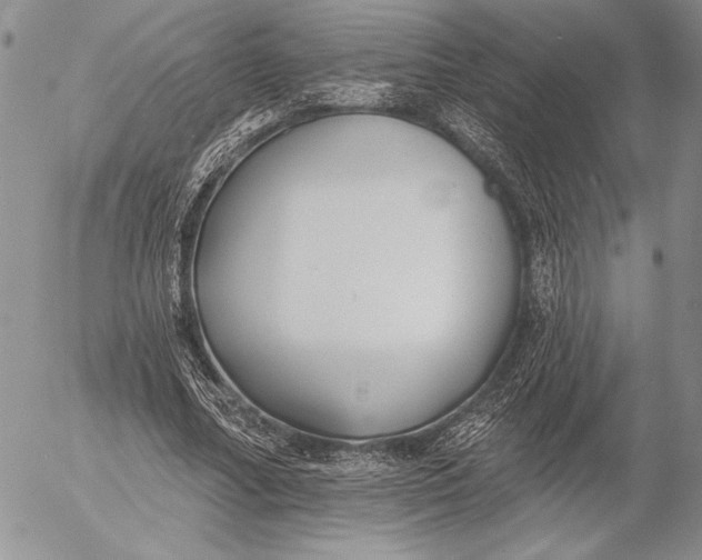 X0000053000682200507291643