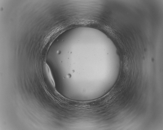 X0000053000683200507291643