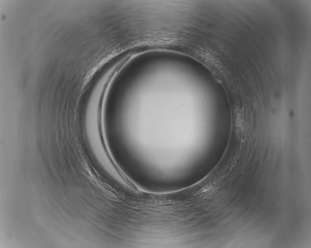 X0000053000684200507291643