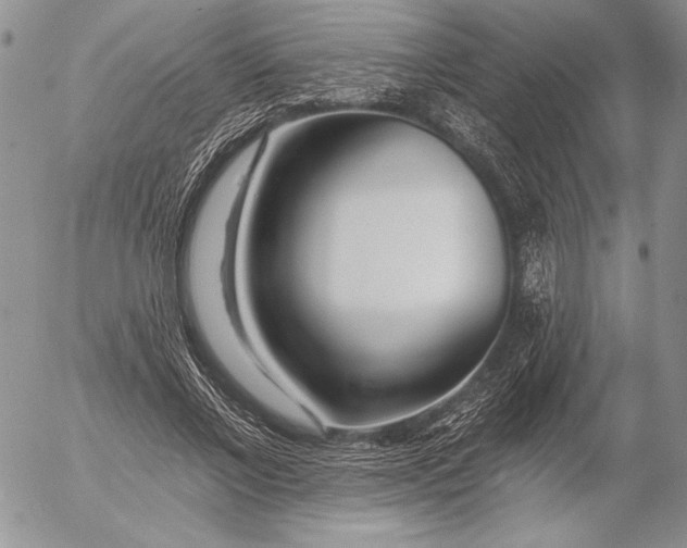 X0000053000685200507291643