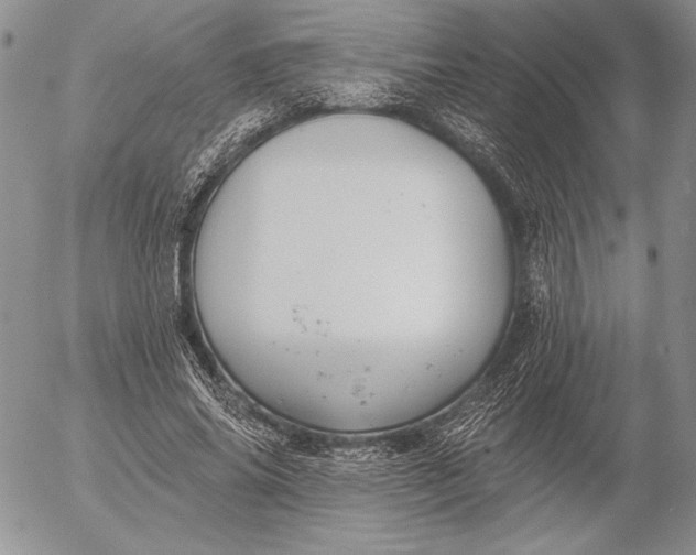 X0000053000686200507291643