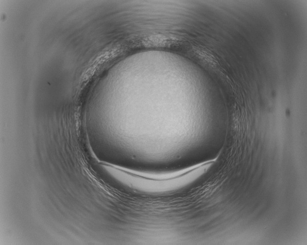 X0000053000687200507291643