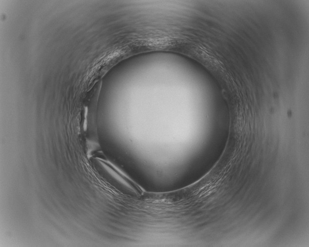 X0000053000689200507291643