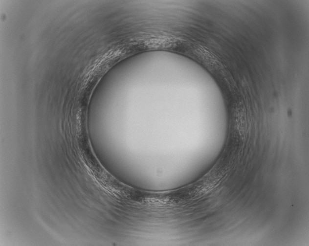 X0000053000690200507291643