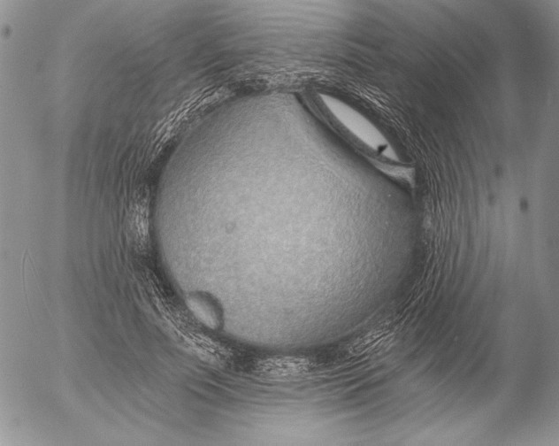 X0000053000691200507291643