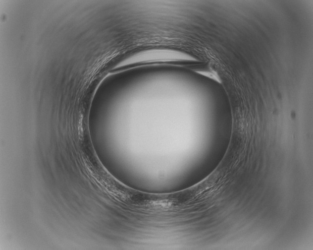 X0000053000692200507291643