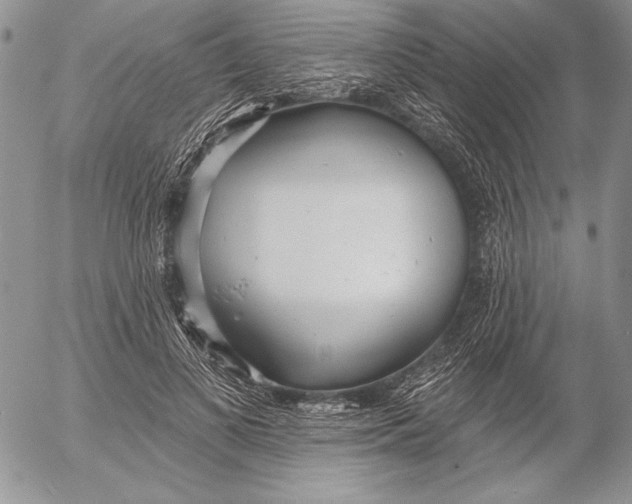 X0000053000693200507291643