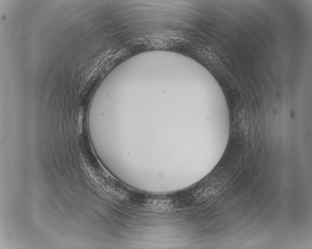 X0000053000694200507291643