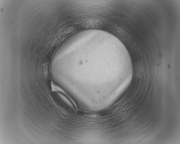 X0000053000695200507291643