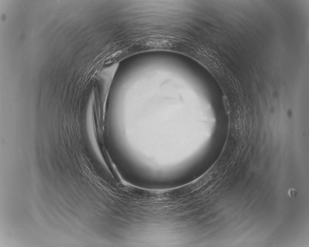 X0000053000696200507291643