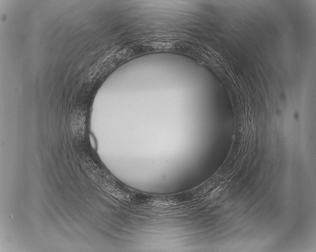 X0000053000697200507291642