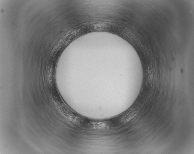 X0000053000698200507291642