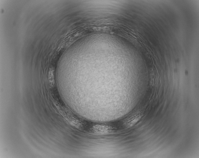 X0000053000699200507291642