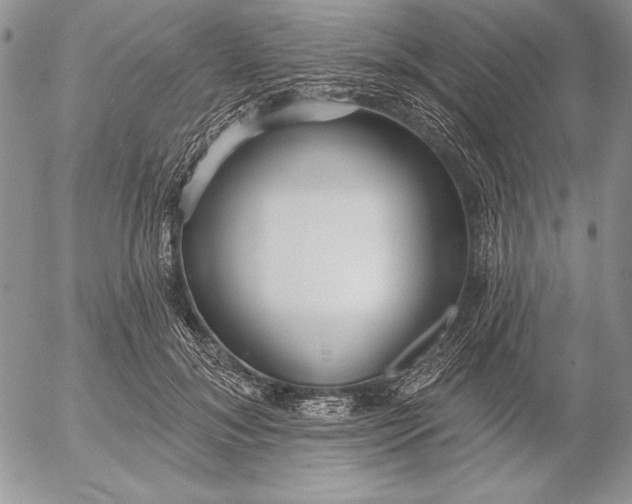 X0000053000700200507291642