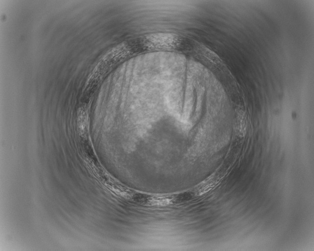 X0000053000701200507291642