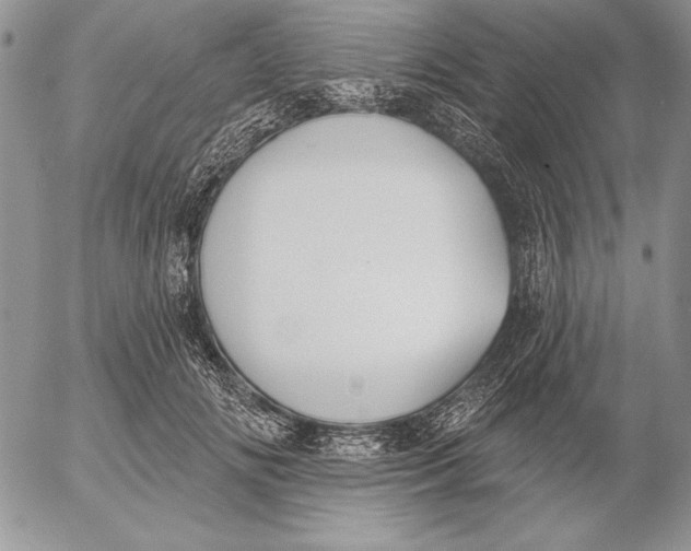 X0000053000702200507291642