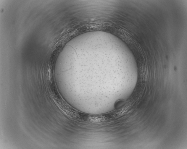 X0000053000703200507291642