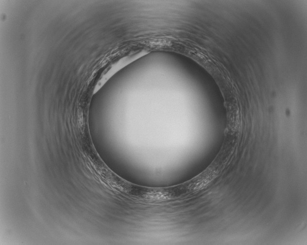 X0000053000704200507291642