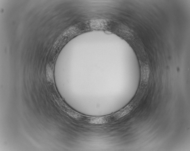 X0000053000705200507291642