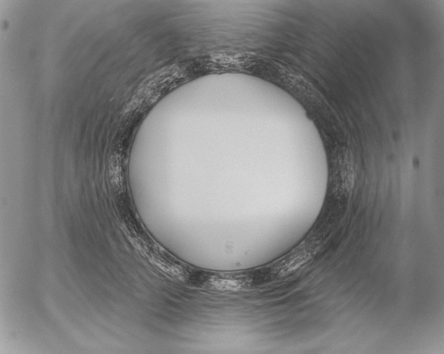 X0000053000706200507291642