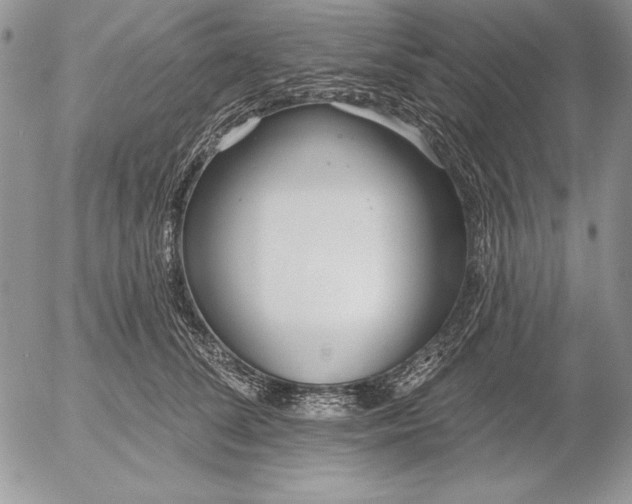 X0000053000708200507291642