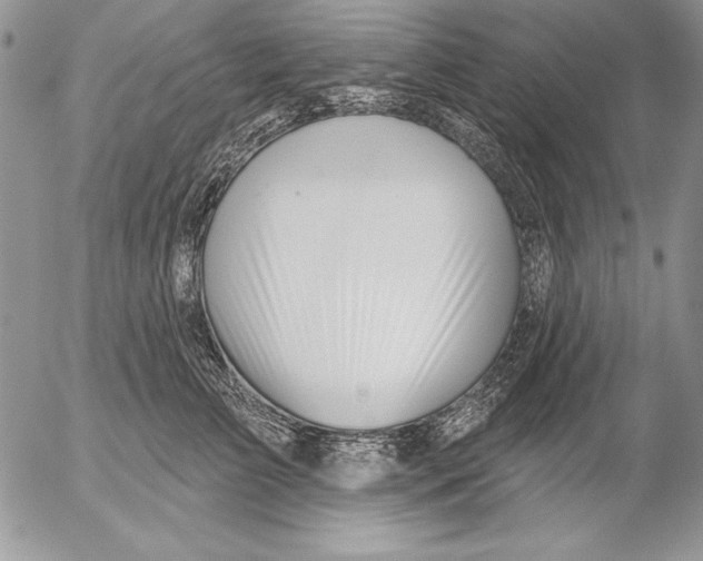 X0000053000709200507291642