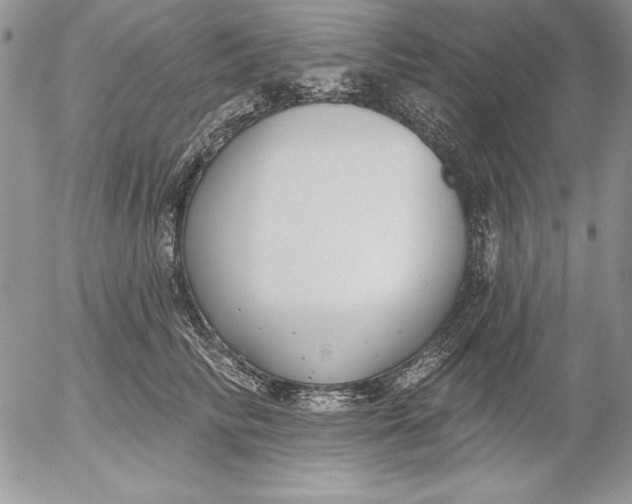 X0000053000710200507291642