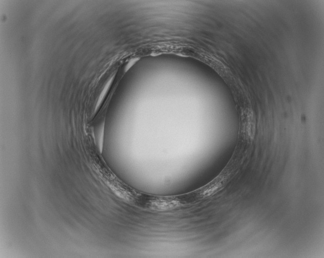 X0000053000712200507291642