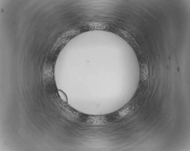 X0000053000713200507291642