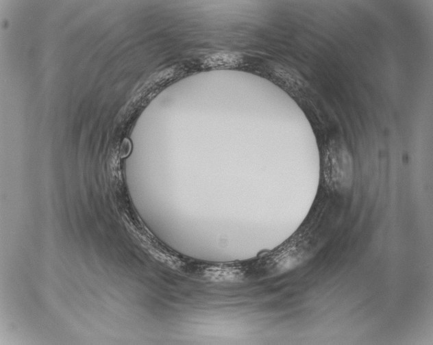 X0000053000714200507291642