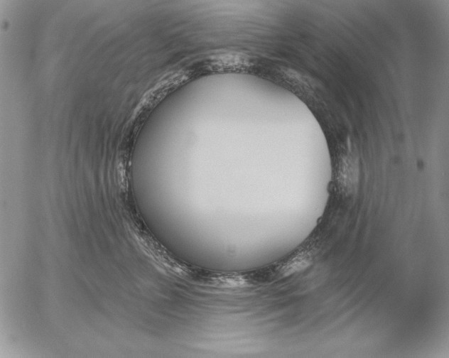 X0000053000715200507291642