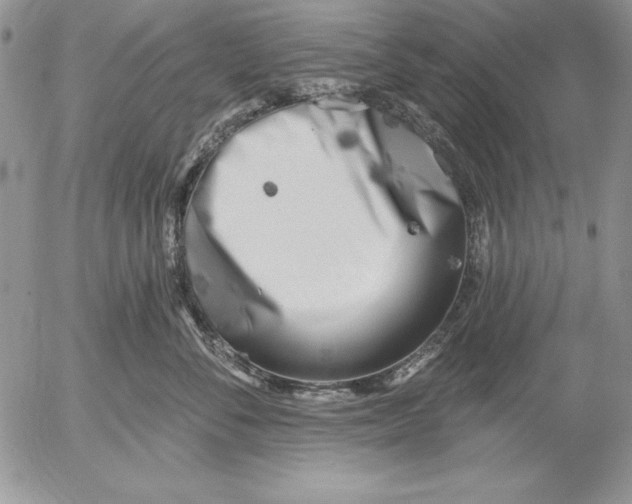 X0000053000716200507291642