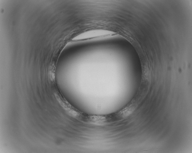 X0000053000719200507291642