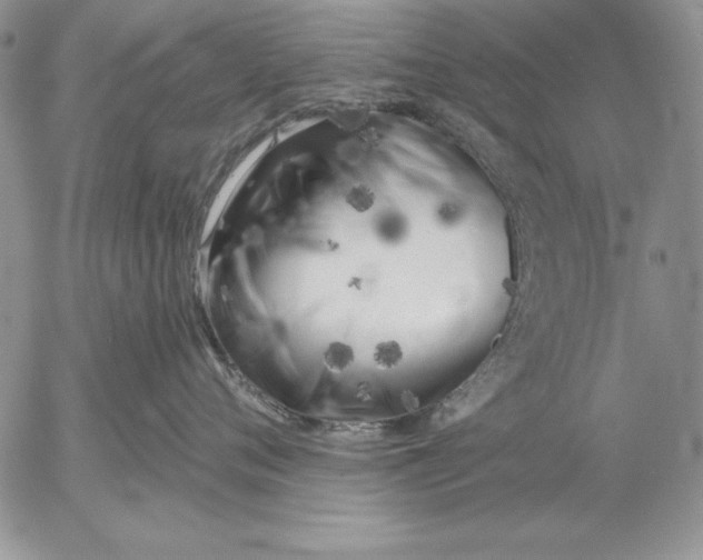 X0000053000720200507291642