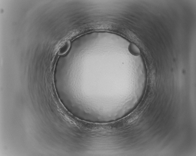 X0000053000721200507291641