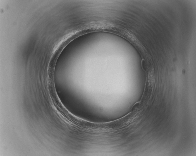 X0000053000722200507291641