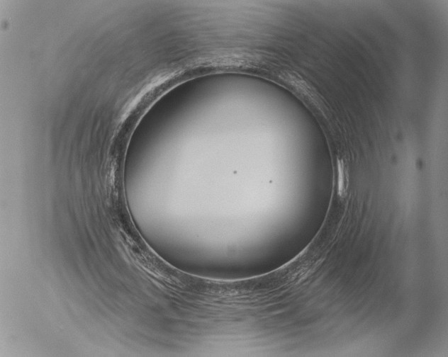 X0000053000723200507291641