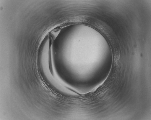 X0000053000724200507291641