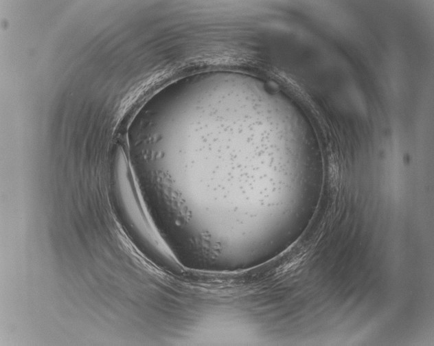 X0000053000725200507291641