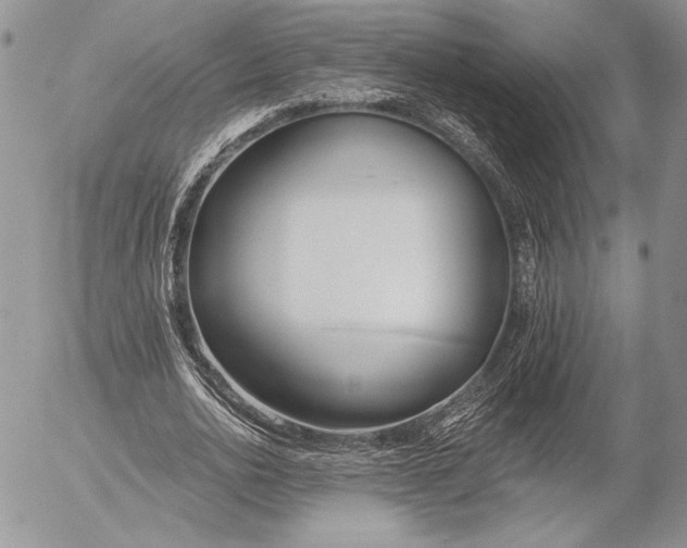 X0000053000726200507291641