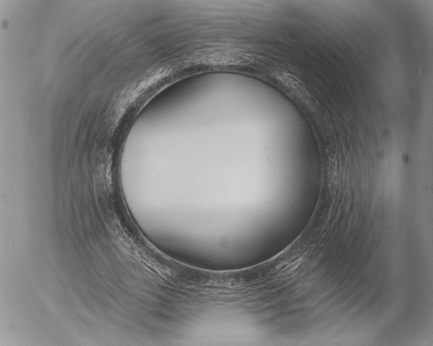 X0000053000727200507291641