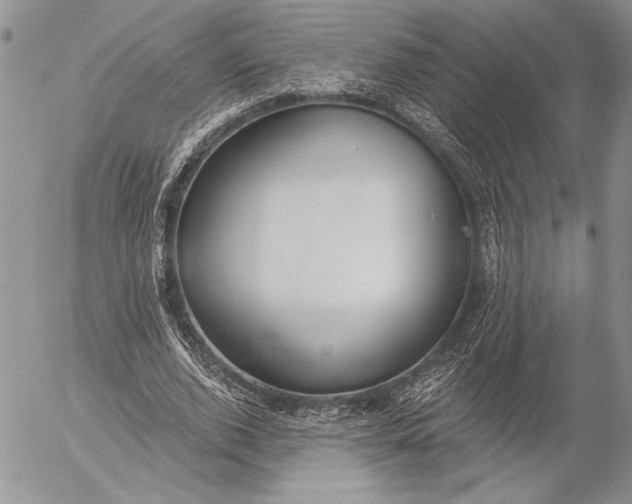 X0000053000728200507291641