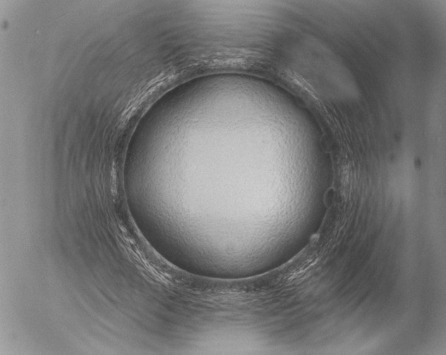 X0000053000729200507291641