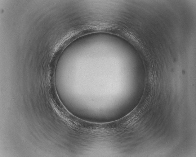 X0000053000730200507291641