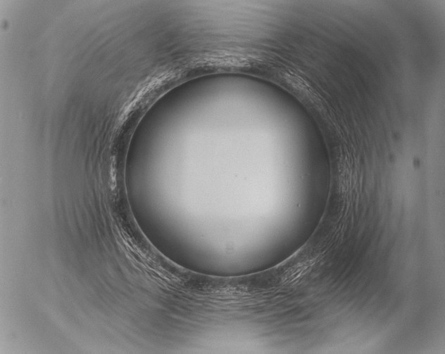 X0000053000731200507291641