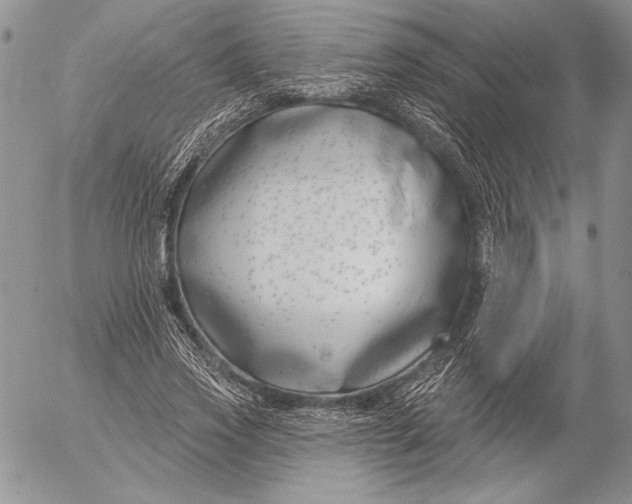 X0000053000733200507291642