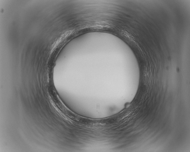 X0000053000734200507291642