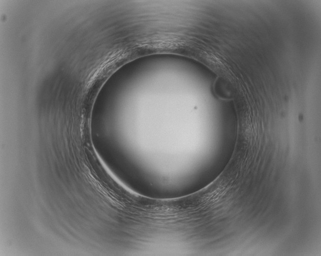 X0000053000735200507291642