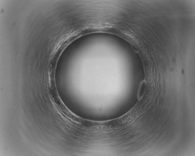 X0000053000736200507291642