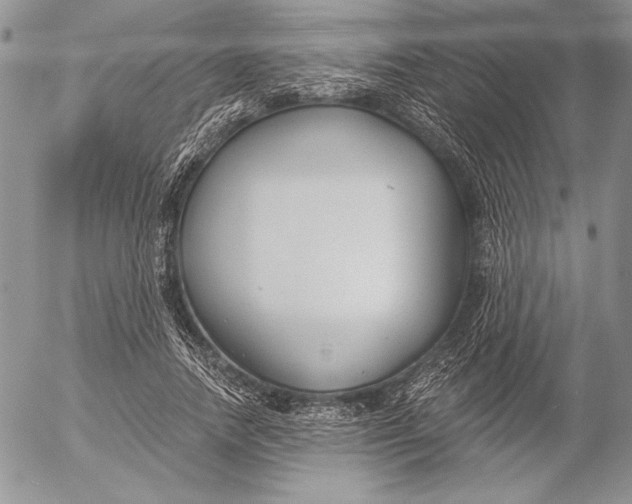 X0000053000738200507291642